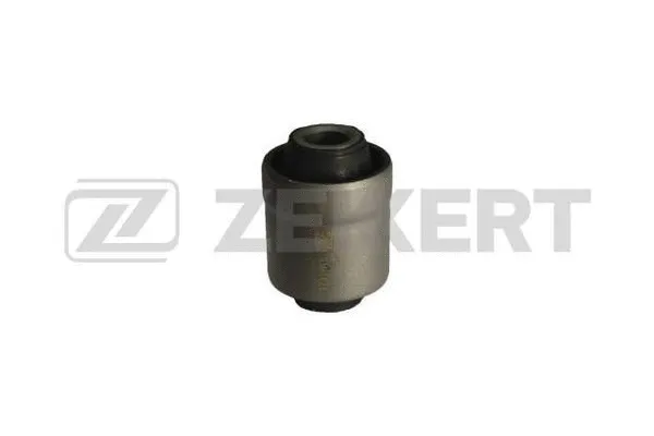 Mounting, control/trailing arm (GM-5628)