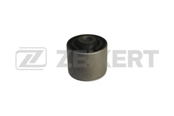 Mounting, control/trailing arm (GM-5723)