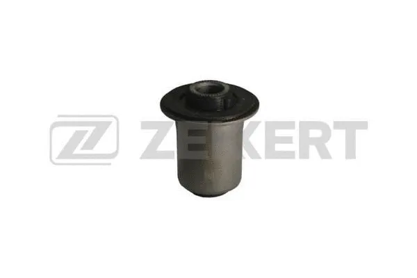 Mounting, control/trailing arm (GM-5993)