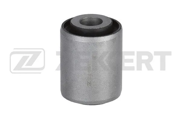 Mounting, control/trailing arm (GM-5179)