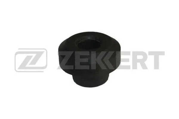 Mounting, control/trailing arm (GM-5679)