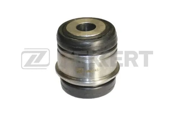 Mounting, control/trailing arm (GM-5143)
