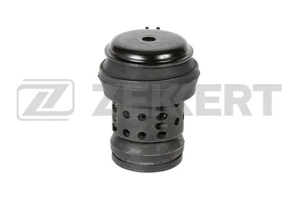 Mounting, engine (GM-3978)