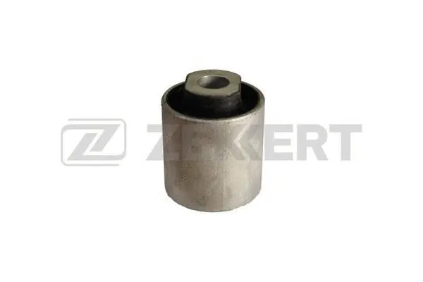 Mounting, control/trailing arm (GM-5039)