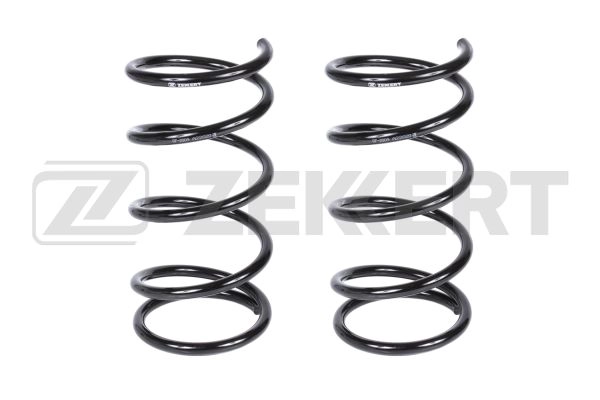 Suspension Spring (SF-2009)