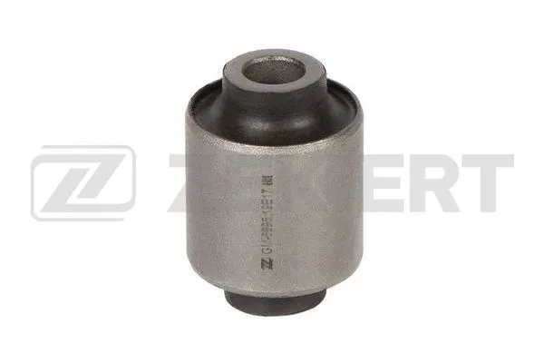 Mounting, control/trailing arm (GM-6895)