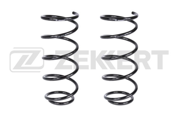 Suspension Spring (SF-2124)