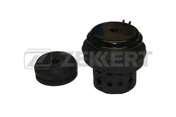 Mounting, engine (GM-3009)