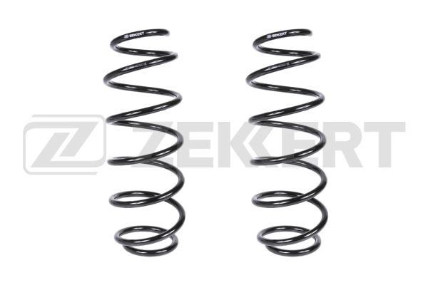 Suspension Spring (SF-2483)