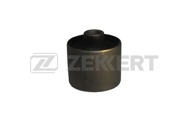 Mounting, control/trailing arm (GM-5870)
