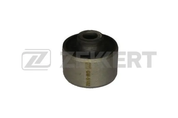 Mounting, control/trailing arm (GM-5102)