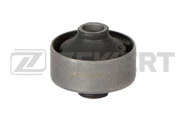 Mounting, control/trailing arm (GM-6153)