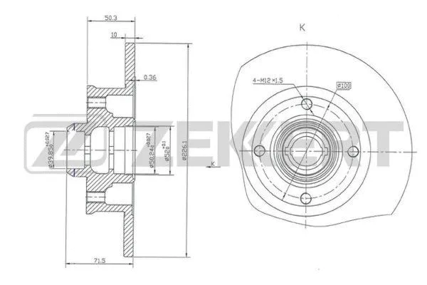 Brake Disc (BS-5087)