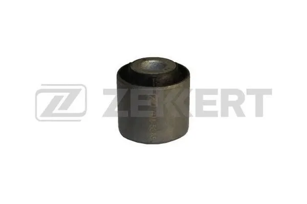 Mounting, control/trailing arm (GM-5385)
