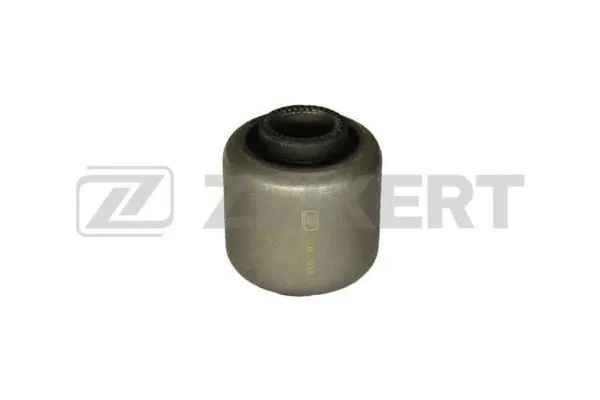 Mounting, control/trailing arm (GM-5955)