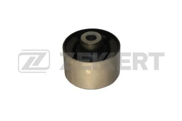 Mounting, control/trailing arm (GM-5185)