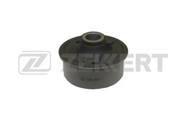 Mounting, control/trailing arm (GM-6019)