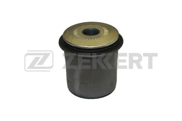 Mounting, control/trailing arm (GM-5943)
