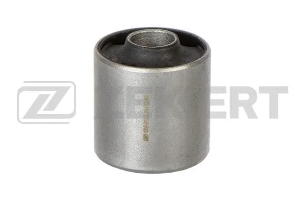 Mounting, control/trailing arm (GM-5692)