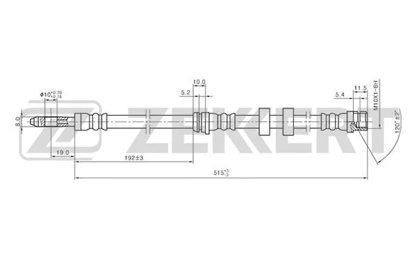 Brake Hose (BS-9250)
