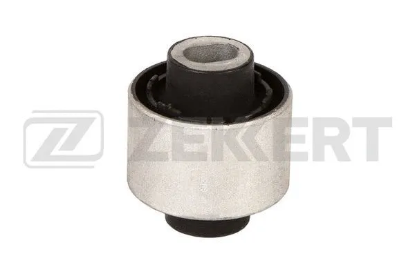 Mounting, control/trailing arm (GM-5224)