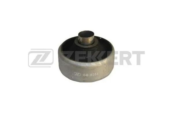 Mounting, control/trailing arm (GM-6084)