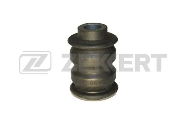 Mounting, control/trailing arm (GM-5437)