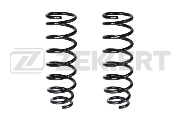 Suspension Spring (SF-2448)