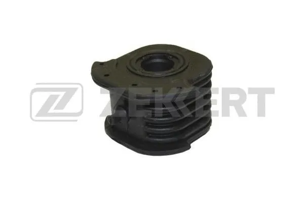 Mounting, control/trailing arm (GM-5241)