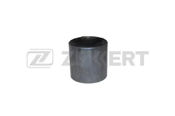 Mounting, control/trailing arm (GM-5145)