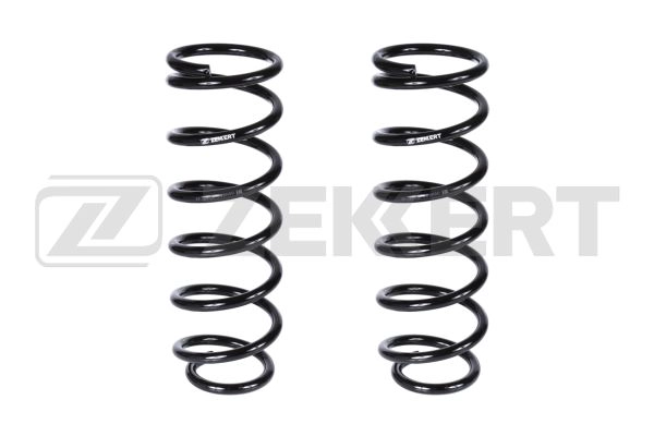 Suspension Spring (SF-2219)