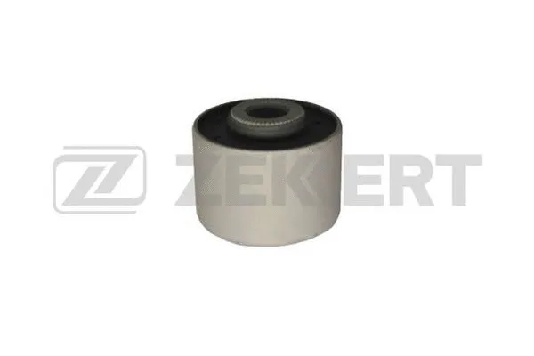 Mounting, control/trailing arm (GM-5727)