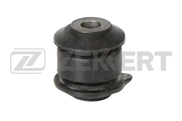 Mounting, control/trailing arm (GM-6356)