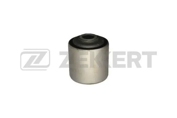 Mounting, control/trailing arm (GM-5743)