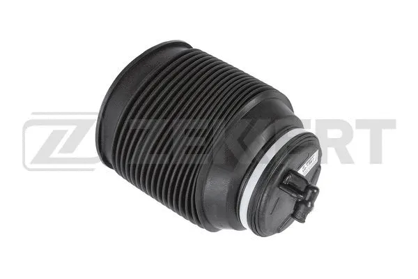 Air Spring, suspension (LD-1387)