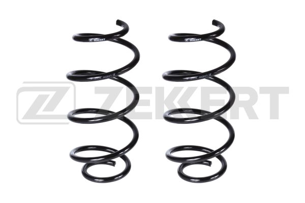 Suspension Spring (SF-2491)