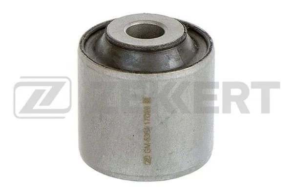 Mounting, control/trailing arm (GM-5361)