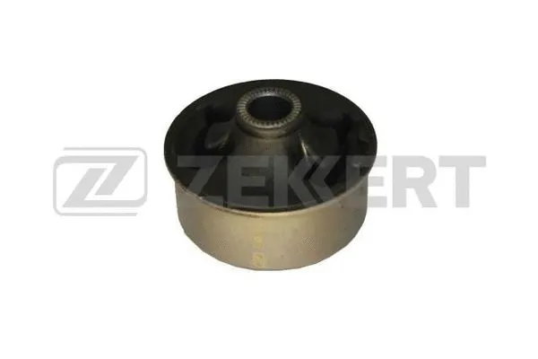 Mounting, control/trailing arm (GM-5962)