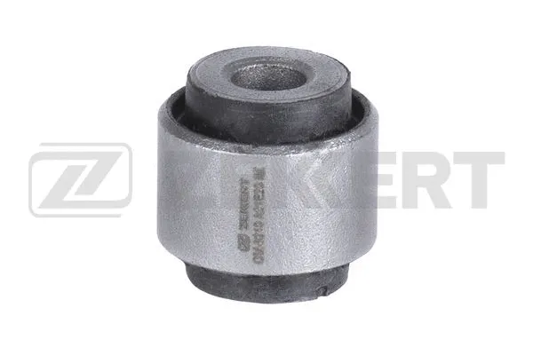 Mounting, control/trailing arm (GM-5210)