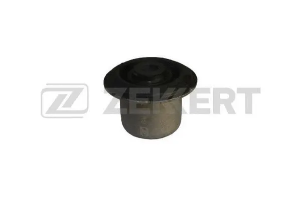 Mounting, control/trailing arm (GM-5031)