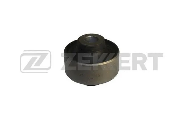 Mounting, control/trailing arm (GM-5875)