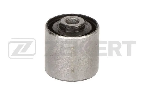 Mounting, control/trailing arm (GM-5290)