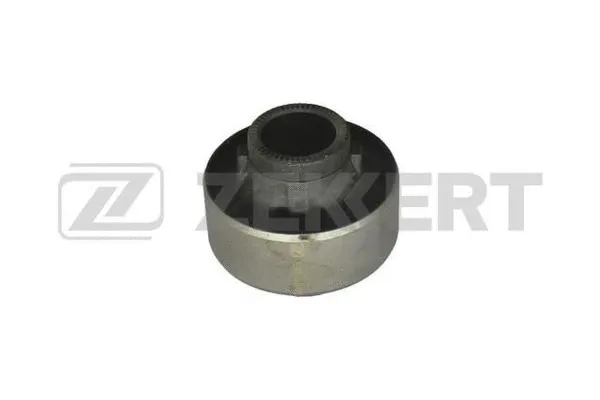 Mounting, control/trailing arm (GM-5889)