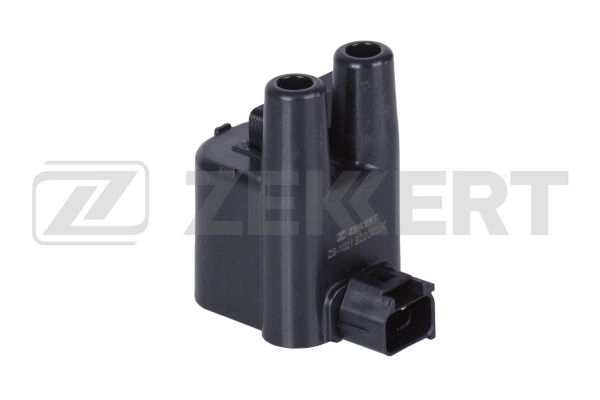 Ignition Coil (ZS-1021)