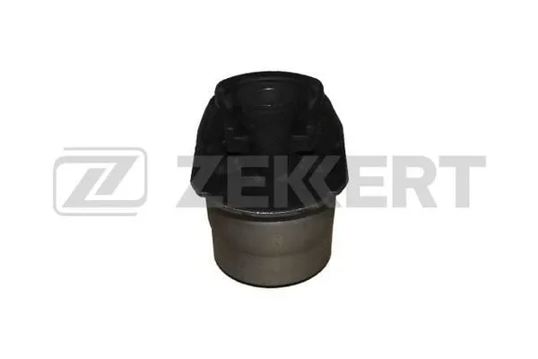 Bushing, axle beam (GM-6018)