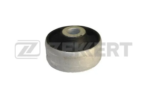 Mounting, control/trailing arm (GM-5033)
