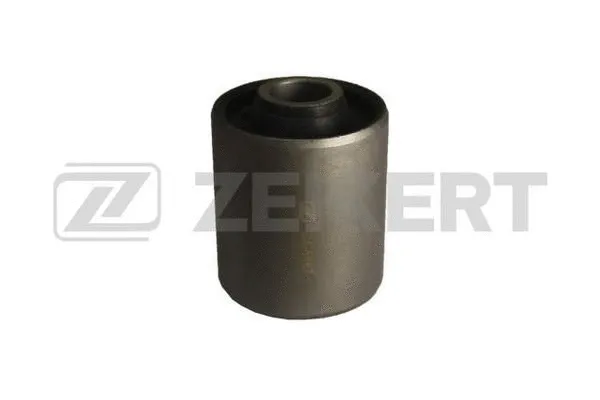 Mounting, control/trailing arm (GM-5667)