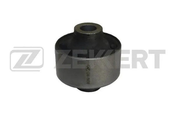 Mounting, control/trailing arm (GM-5656)