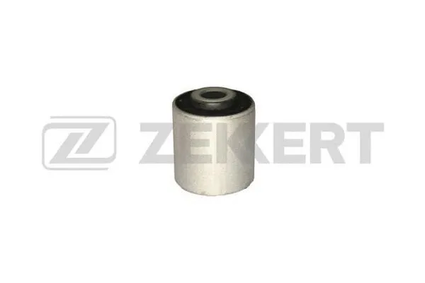 Mounting, control/trailing arm (GM-5030)