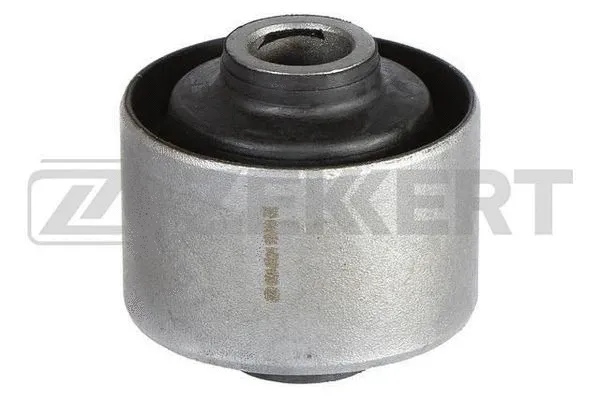 Mounting, control/trailing arm (GM-5324)
